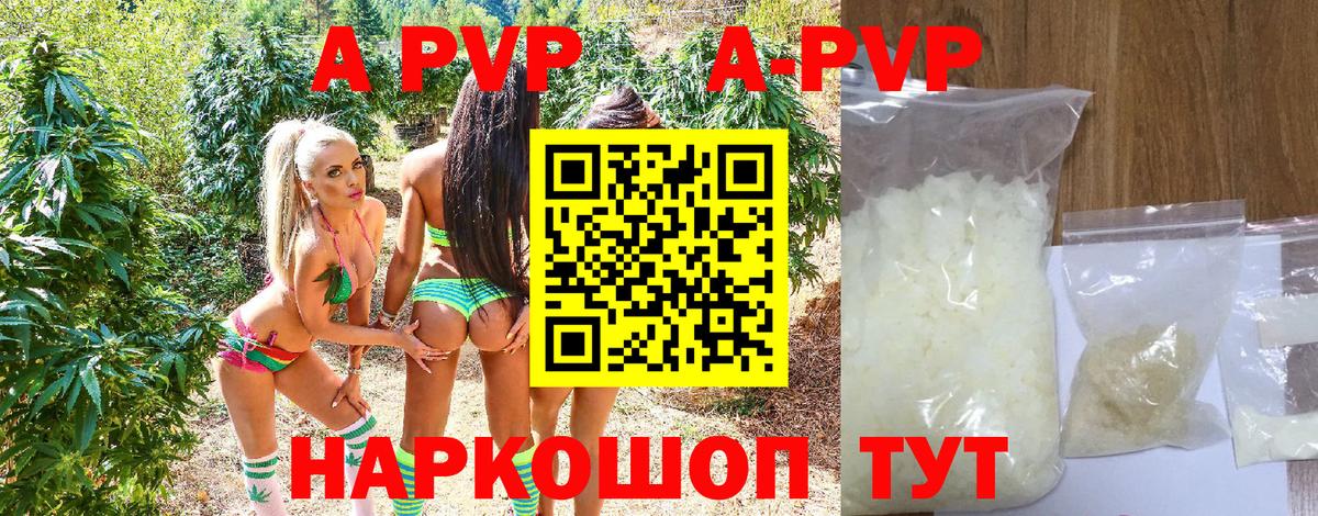 Альфа ПВП СК КРИС Дзержинск