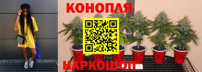 ECSTASY Ливны