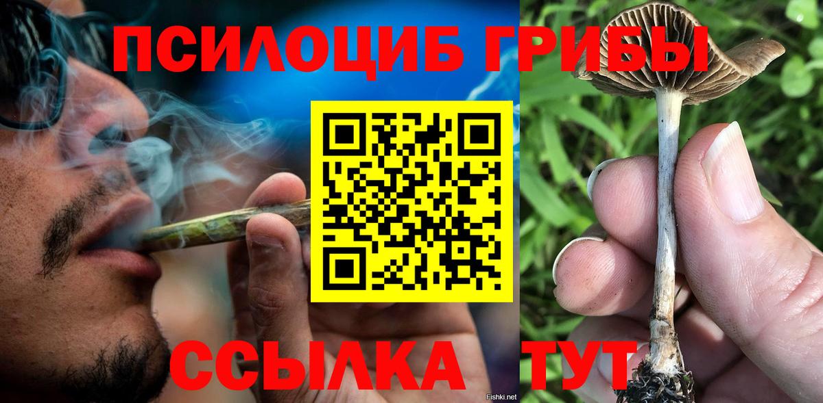 Галлюциногенные грибы Cubensis  Вход с VPN  Дзержинск 