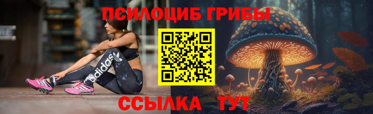 Галлюциногенные грибы Magic Shrooms Дзержинск